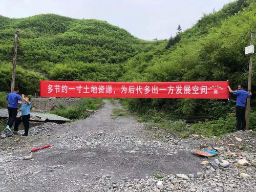 茶田鎮工礦廢棄地復墾復綠 碎石加工助力生態文明建設