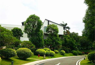 城市園林綠化發(fā)展機(jī)遇分析 投資前景看好