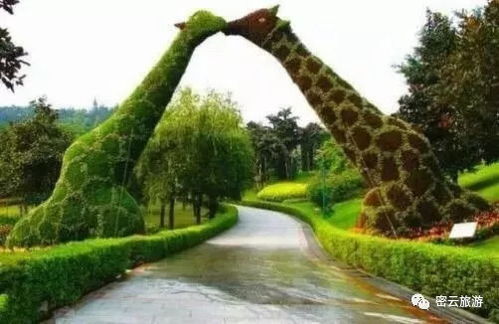 美爆了 密云 玫瑰情園景區(qū)紫色花海門票免費送 送 送