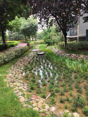 提高海綿城市建設(shè)工程質(zhì)量青島市舉辦施工人員培訓(xùn)會(huì)|半島網(wǎng)