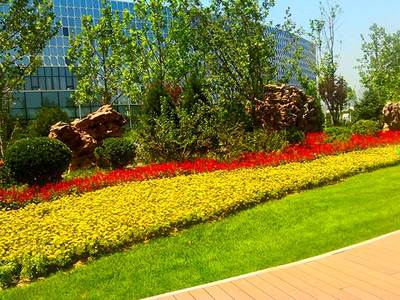 假山_達(dá)州綠化工程_宣漢綠化工程_萬源假山制作_四川洪勝園林景觀工程