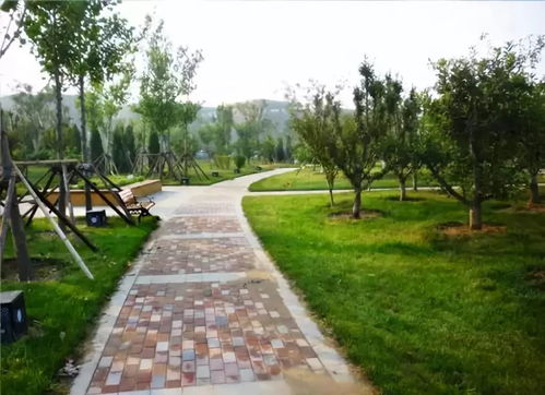 園林綠化工程質量關如何把控