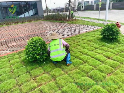 寶裕(佛山)再生資源高明新廠區園林綠化工程施工方案與技術要點